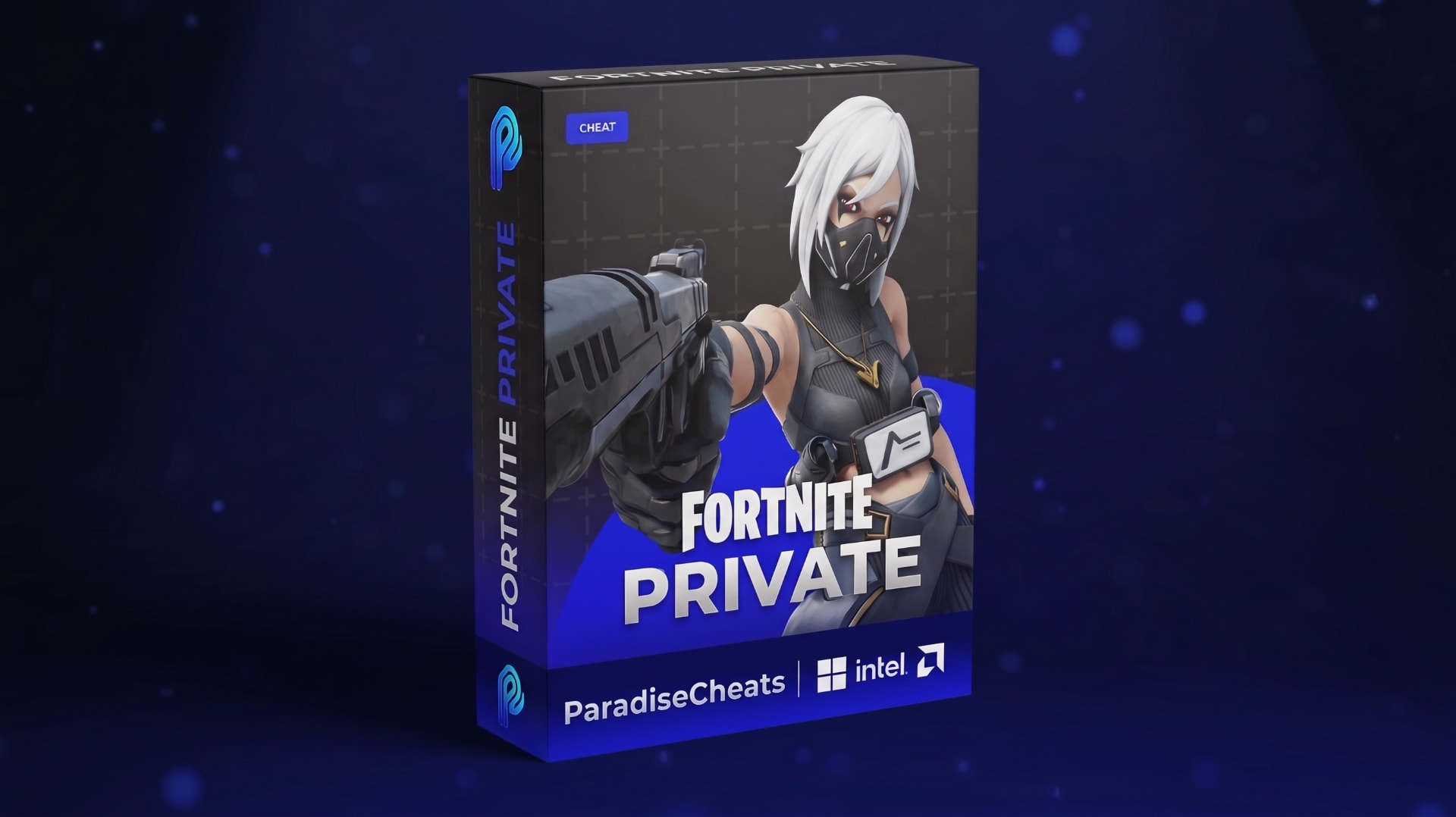 Fortnite Private